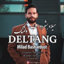 دانلود آهنگ جدید میلاد بشردوست به نام دلتنگ